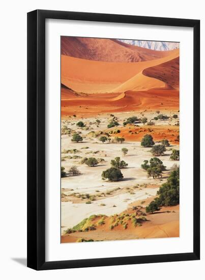 Namib-Andrushko Galyna-Framed Photographic Print