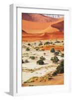 Namib-Andrushko Galyna-Framed Photographic Print