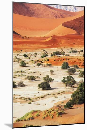 Namib-Andrushko Galyna-Mounted Photographic Print