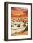 Namib-Andrushko Galyna-Framed Photographic Print