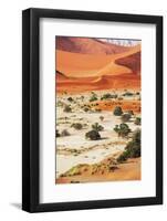Namib-Andrushko Galyna-Framed Photographic Print