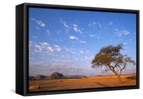 Namibia Acacia Tree-null-Framed Stretched Canvas