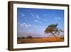 Namibia Acacia Tree-null-Framed Photographic Print