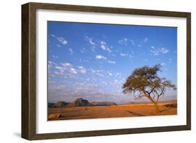 Namibia Acacia Tree-null-Framed Photographic Print