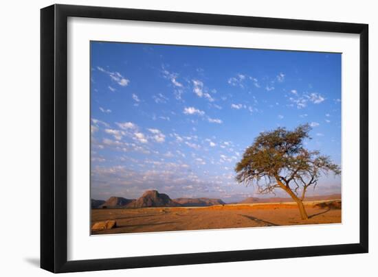 Namibia Acacia Tree-null-Framed Photographic Print