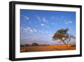 Namibia Acacia Tree-null-Framed Photographic Print