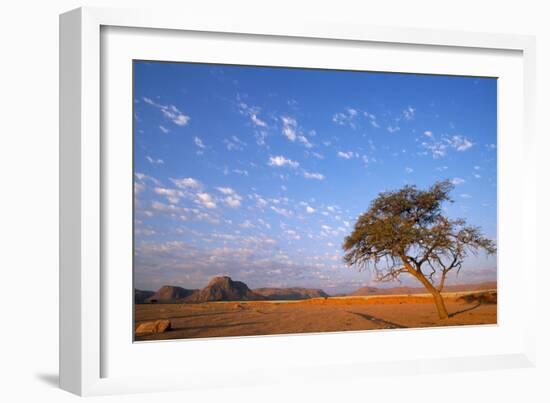 Namibia Acacia Tree-null-Framed Photographic Print