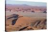 Namibia. Aerial view of the vast red dune fields of Sossusvlei in Namib-Naukluft National Park.-Brenda Tharp-Stretched Canvas