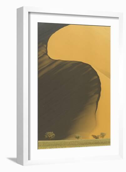 Namibia Camelthorn Trees (Acacia Erioloba)-null-Framed Photographic Print
