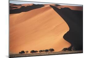 Namibia, Central Namib, Namib-Naukluft NP. Sand Dunes of Sossusvlei-Walter Bibikow-Mounted Photographic Print