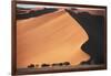 Namibia, Central Namib, Namib-Naukluft NP. Sand Dunes of Sossusvlei-Walter Bibikow-Framed Photographic Print