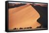 Namibia, Central Namib, Namib-Naukluft NP. Sand Dunes of Sossusvlei-Walter Bibikow-Framed Stretched Canvas