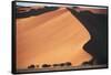 Namibia, Central Namib, Namib-Naukluft NP. Sand Dunes of Sossusvlei-Walter Bibikow-Framed Stretched Canvas