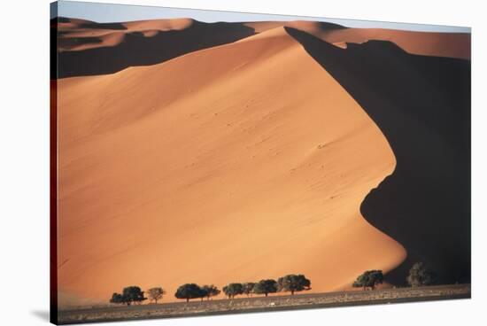 Namibia, Central Namib, Namib-Naukluft NP. Sand Dunes of Sossusvlei-Walter Bibikow-Stretched Canvas