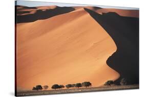 Namibia, Central Namib, Namib-Naukluft NP. Sand Dunes of Sossusvlei-Walter Bibikow-Stretched Canvas