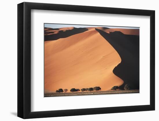 Namibia, Central Namib, Namib-Naukluft NP. Sand Dunes of Sossusvlei-Walter Bibikow-Framed Photographic Print