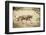 Namibia, Damaraland, Palwag Concession. Stalking Lion Stalking-Wendy Kaveney-Framed Photographic Print