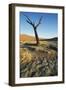 Namibia Dead Camelthorn Tree (Acacia Erioloba)-null-Framed Photographic Print
