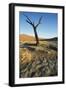 Namibia Dead Camelthorn Tree (Acacia Erioloba)-null-Framed Photographic Print