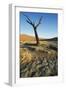 Namibia Dead Camelthorn Tree (Acacia Erioloba)-null-Framed Photographic Print