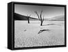 Namibia Dead Vlei-Nina Papiorek-Framed Stretched Canvas