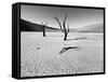 Namibia Dead Vlei-Nina Papiorek-Framed Stretched Canvas