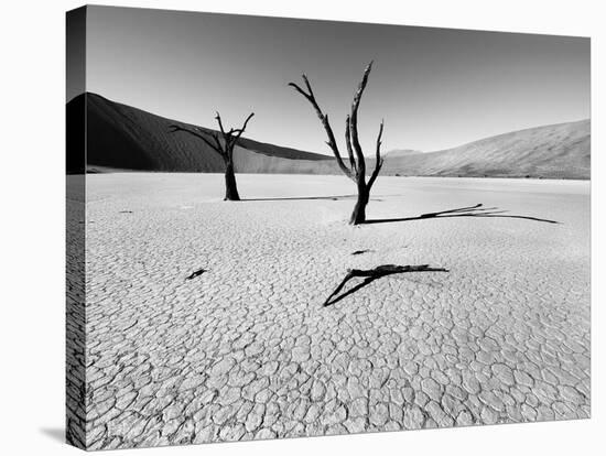 Namibia Dead Vlei-Nina Papiorek-Stretched Canvas