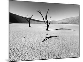 Namibia Dead Vlei-Nina Papiorek-Mounted Photographic Print