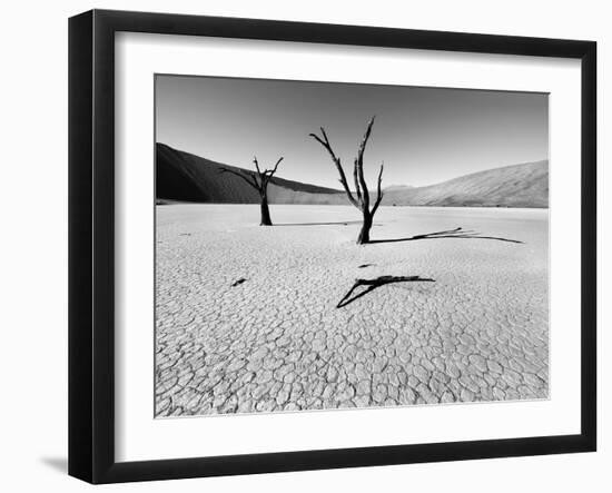 Namibia Dead Vlei-Nina Papiorek-Framed Photographic Print