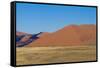 Namibia Desert-DR_Flash-Framed Stretched Canvas