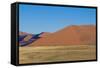 Namibia Desert-DR_Flash-Framed Stretched Canvas