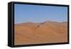 Namibia Desert-DR_Flash-Framed Stretched Canvas