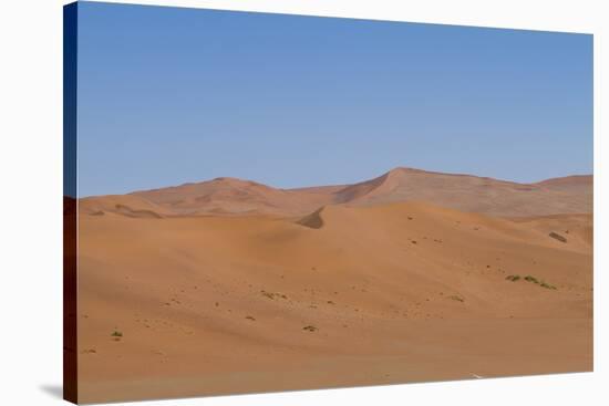 Namibia Desert-DR_Flash-Stretched Canvas