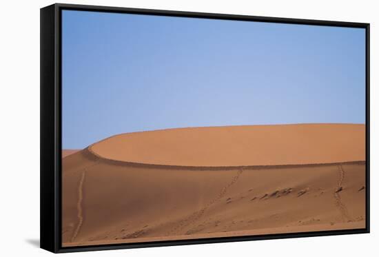 Namibia Desert-DR_Flash-Framed Stretched Canvas