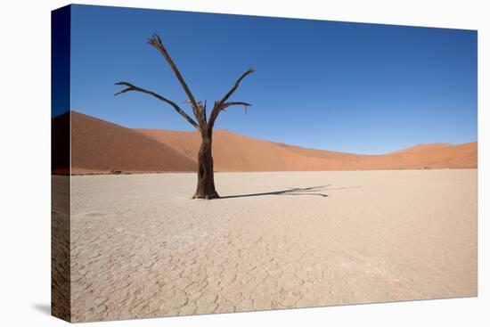 Namibia Desert-DR_Flash-Stretched Canvas