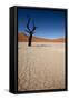 Namibia Desert-DR_Flash-Framed Stretched Canvas