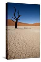 Namibia Desert-DR_Flash-Stretched Canvas