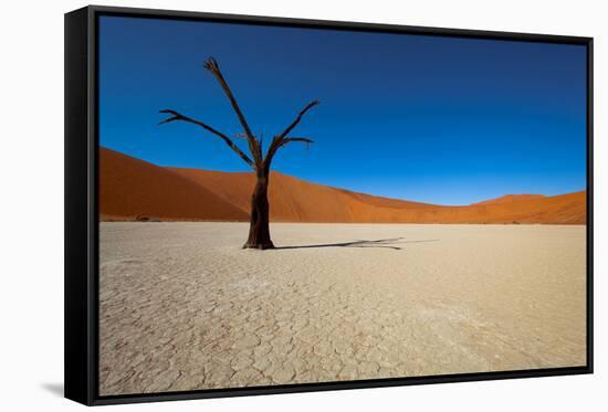 Namibia Desert-DR_Flash-Framed Stretched Canvas