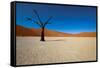 Namibia Desert-DR_Flash-Framed Stretched Canvas