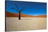 Namibia Desert-DR_Flash-Stretched Canvas