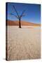 Namibia Desert-DR_Flash-Stretched Canvas