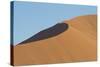 Namibia Desert-DR_Flash-Stretched Canvas