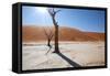 Namibia Desert-DR_Flash-Framed Stretched Canvas