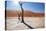 Namibia Desert-DR_Flash-Stretched Canvas