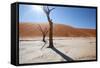 Namibia Desert-DR_Flash-Framed Stretched Canvas