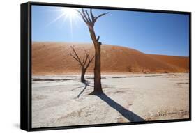 Namibia Desert-DR_Flash-Framed Stretched Canvas