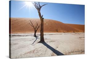 Namibia Desert-DR_Flash-Stretched Canvas