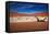 Namibia Desert-MJO Photo-Framed Stretched Canvas