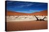 Namibia Desert-MJO Photo-Stretched Canvas