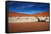 Namibia Desert-MJO Photo-Framed Stretched Canvas